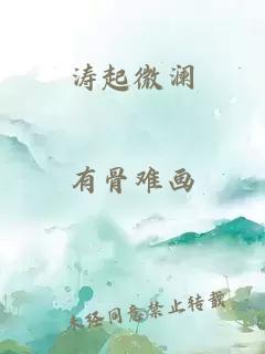 涛起微澜