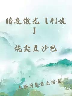 暗夜微光【刑侦】